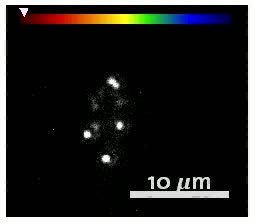 Single Molecules, Fluorescence Excitation scan